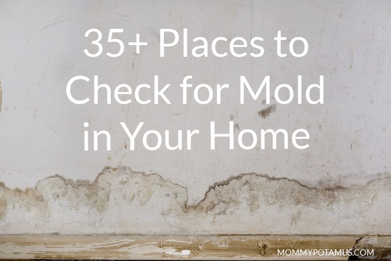 35+ Places to Check for Mold In Your Home