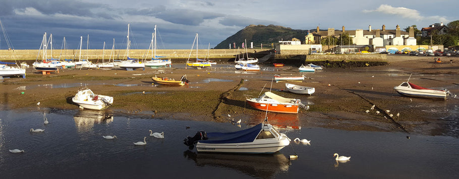 Beachcombing in Ireland